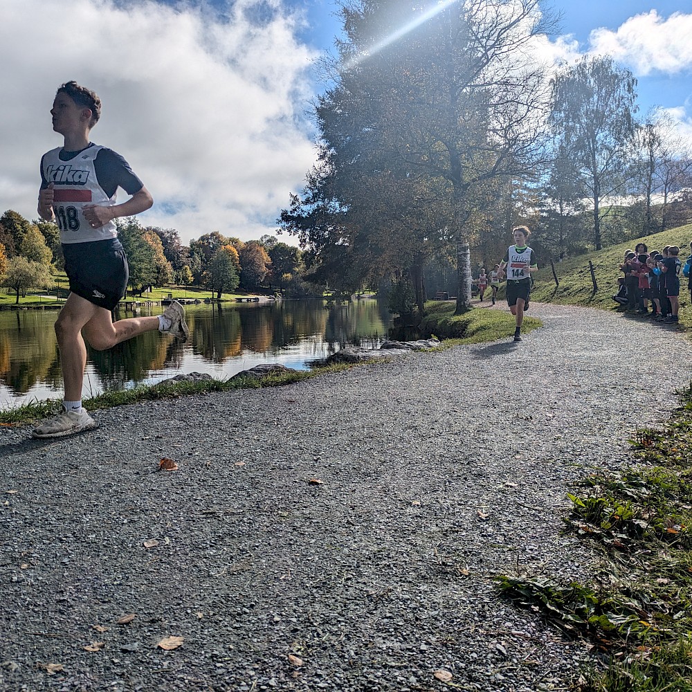 Crosslauf Pinzgau 2024