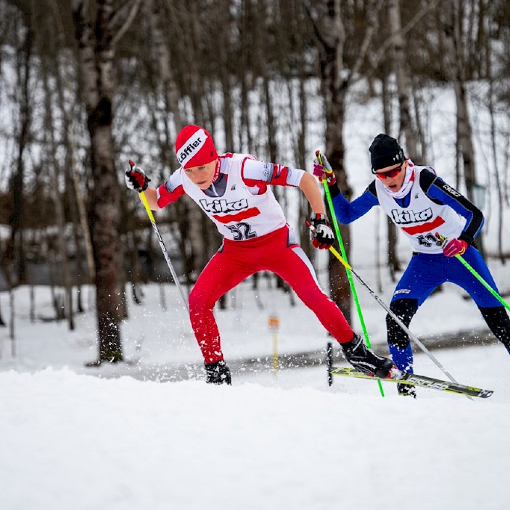 BM der Schimittelschulen